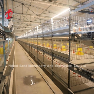 Prático 380V Cage Chick Brooder Para Dia Velha camada cultivador de frangos na África Iris Farm