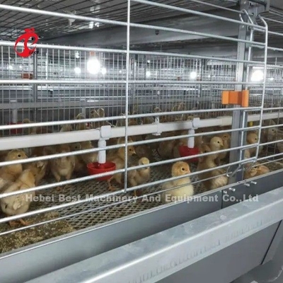BEST Galvanizado Automático Tipo H Chicken Farm Broiler Cage Sistema Adela