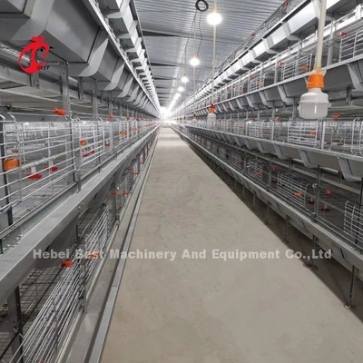Limpeza manual Caixa de reprodução automática de frangos Tipo H Metal para galinhas Adela