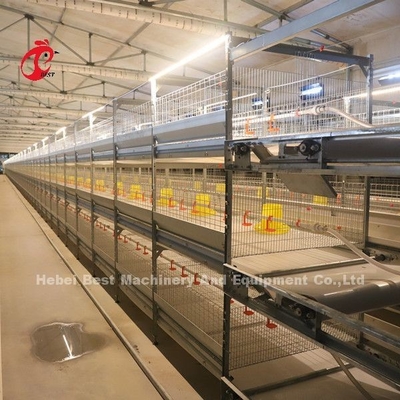 Sistema de alimentação automático da gaiola de bateria da grelha para cultivar o espaço de salvaguarda Emily