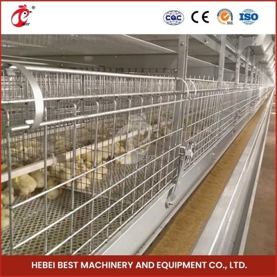 Tipo automático Chick Pullet Cage High Capacity dias de idade Adela da gaiola moderna longa H das aves domésticas do tempo