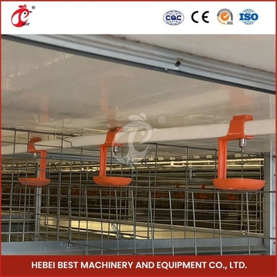 Tipo automático Chick Pullet Cage High Capacity dias de idade Adela da gaiola moderna longa H das aves domésticas do tempo