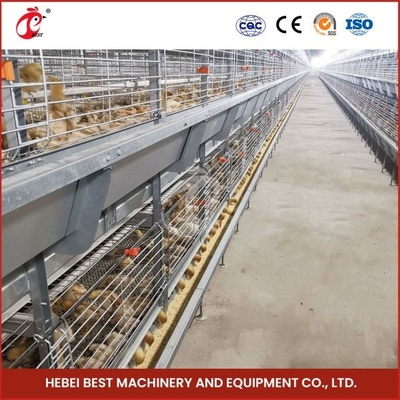 Sobrevivência mais alta Rate Ada dos pássaros dias de idade de Chick Brooding Cage Equipment 208 da camada