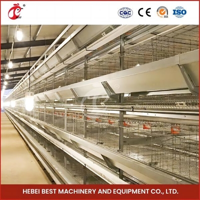 Comprimento automático galvanizado quente Mia dos pássaros 1.2m de Chick Brooder Cage 192 do bebê da franga