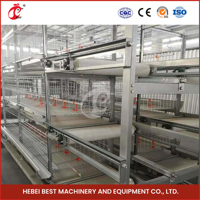 Pintainhos velhos automatizados Rosa do cultivador da camada de Chick Brooder Cage For Day da bateria do bebê da franga