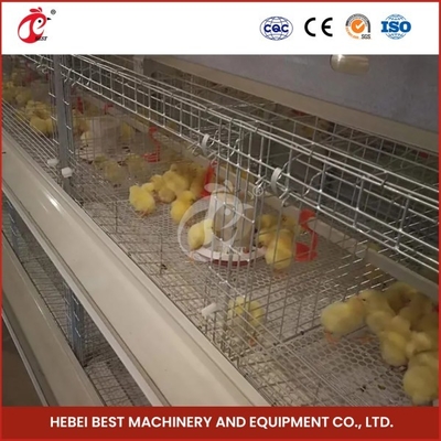 Tipo de aço gaiola automática Mia do equipamento de cultivo H das aves domésticas Q235 da ninhada da franga