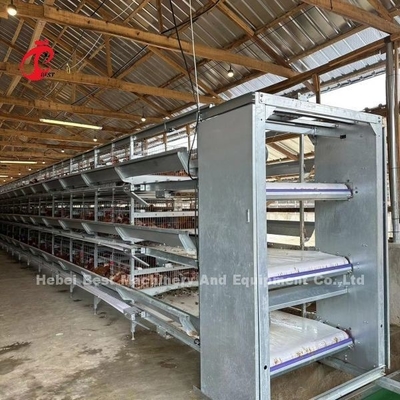Gaiola de bateria automática da galinha dos pássaros da camada 160 para a exploração avícola Emily