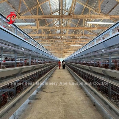 Gaiola de bateria automática da galinha dos pássaros da camada 160 para a exploração avícola Emily