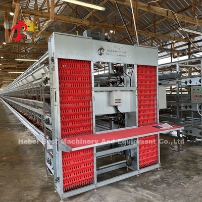 Gaiola em bateria de aço Q235 para avicultura tamanho personalizado íris