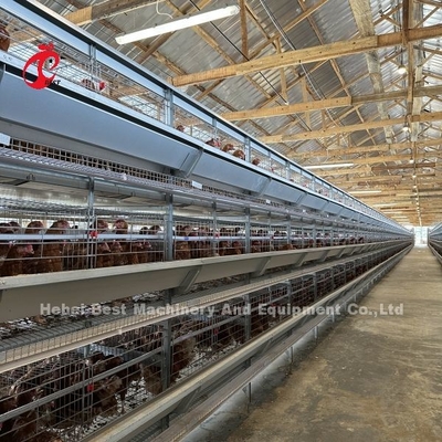 Gaiola em bateria de aço Q235 para avicultura tamanho personalizado íris