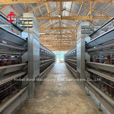 120 gaiolas de bateria exploração agrícola automática Doris da camada de A das aves domésticas da capacidade dos pássaros ou de H