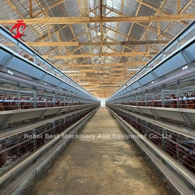 120 gaiolas de bateria exploração agrícola automática Doris da camada de A das aves domésticas da capacidade dos pássaros ou de H