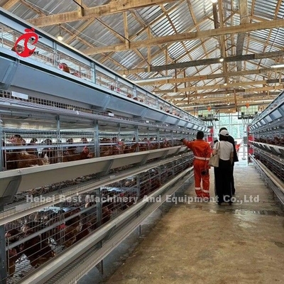 200 pássaros Caixa automática de bateria de frango para venda camada de ovo Caixa Fazenda Ada