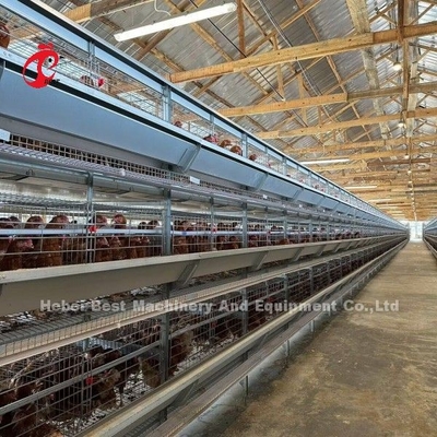 120 gaiolas de bateria exploração agrícola automática Doris da camada de A das aves domésticas da capacidade dos pássaros ou de H