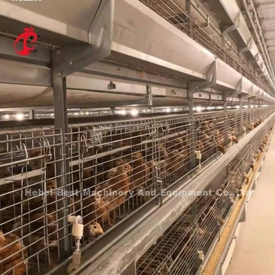 Q235 aço mais forte fio de galinha 1,5m por 2,2m por 1,75m Adela