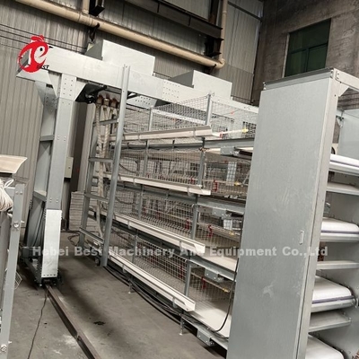 3 Nível 45 Dias Caixa de frango Íris altamente durável