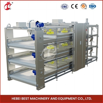 96 Aves Tipo H Caixa automática de frango / Caixa de frango de tipo broiler com porta deslizante Rose