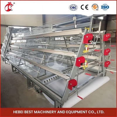 Reprodução automática Broiler automático Galinha gaiola Rosa