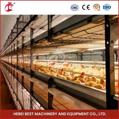 96-128 Galinhas Broiler Caixa de Galinhas Mia totalmente automática