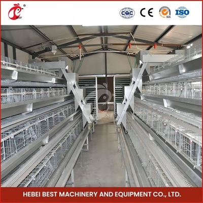 96 Aves Tipo H Caixa automática de frango / Caixa de frango de tipo broiler com porta deslizante Rose