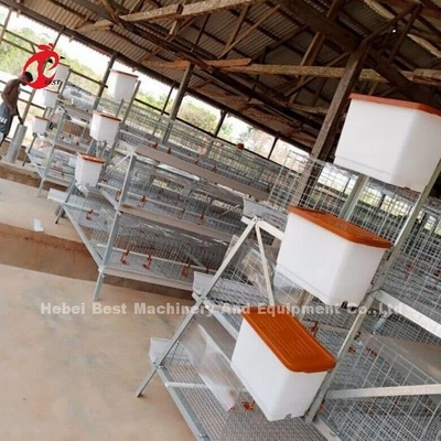 3 ou 4 Níveis de Cage H Cinturão de Criação de Filhotes Sistema de Limpeza Manual 2x2x1.6metros Doris