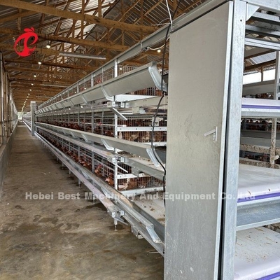 Alimentação de aves de capoeira Cage de camada de ovo pulverização eletrostática Ada