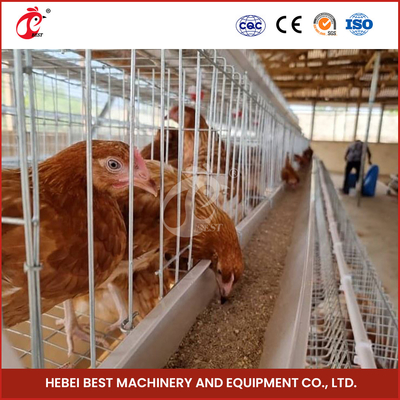 200 aves Capacidade de cultivo comercial Caixas de frango com estrela de instalação de vídeo