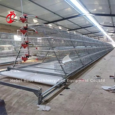 Tipo H Automático Tipo H Broiler Caixa de frango Instalação de vídeo Inspeção de saída Fornecida Rosa
