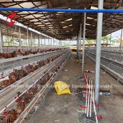 2.2m Por 2.4m Por 1.95m Camada Bateria Cage Sistema 4 Nível 160 Capacidade Sandy