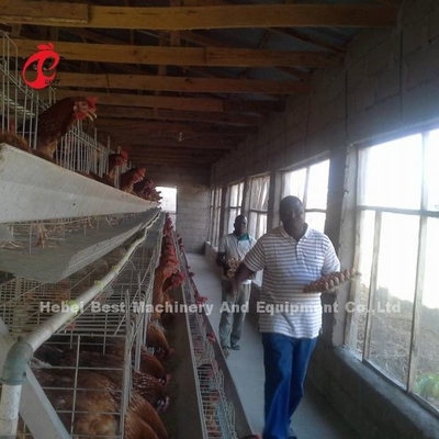 Sistema de gaiola de bateria de aves de capoeira de aço galvanizado para fazendas de aves de capoeira usando areia