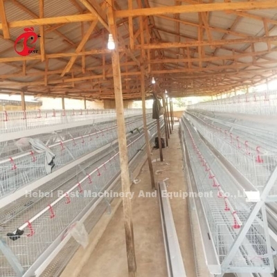 Sistema de gaiolas de bateria semiautomático tipo A com carrinho de alimentação para camadas de ovos Ada