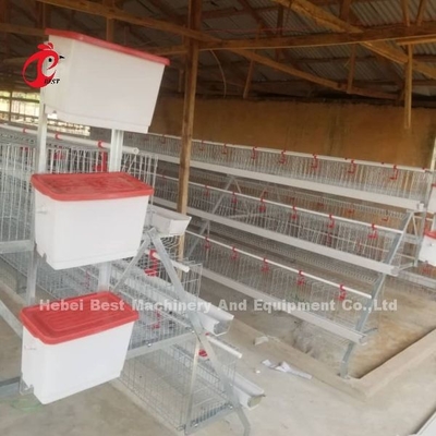 Sistema de gaiolas de bateria semiautomático tipo A com carrinho de alimentação para camadas de ovos Ada