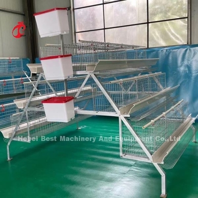 Sistema de gaiolas de reprodução de aves de capoeira de ferro de ângulo para a Nigéria Zâmbia Quênia Gana Camarões Sudão Gâmbia Nâmbia Mercado