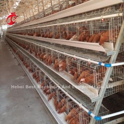 Sistema automático de controle elétrico de gaiolas de camada de aves de capoeira 4 Nível de projeto da fazenda Ada