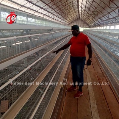 Eficiência de criação elevada para a criação de frangos Sistema de gaiolas de criação de aves de capoeira