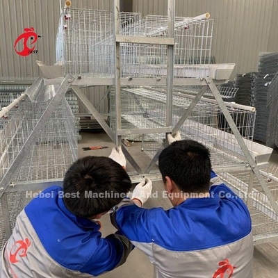 Tipo A Galinha 128 aves Aves Aves Galinha Bateria Caixa Sistema Galvanizado A Quente Mergulhado Para a Nigéria Fazenda Doris
