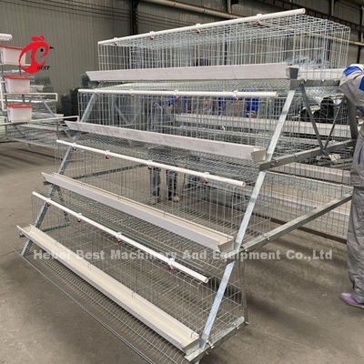 Caixa de bateria de frango galvanizado a quente de aço Q235 para Nigéria Gana Camarões Fazenda de frango Doris