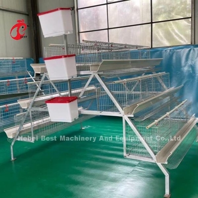 3 Nível 120 Aves e 4 Nível 160 Aves camada sistema de gaiolas de bateria para Uganda Tanzânia Poultry Farm Sandy