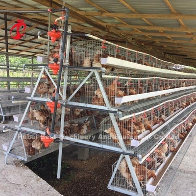 3 Nível 120 Aves e 4 Nível 160 Aves camada sistema de gaiolas de bateria para Uganda Tanzânia Poultry Farm Sandy