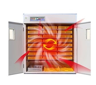 Ovo automático industrial que choca a janela de observação 220v da dupla camada da incubadora