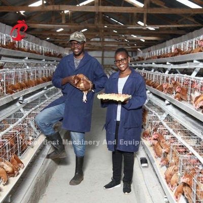 Série da gaiola 5 da camada da bateria da fábrica de China com equipamento das aves domésticas para o mercado Sandy de África