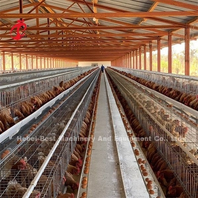 Portas de venda quentes do sistema 32 da gaiola do cultivo de aves domésticas de África para pássaros Emily da colocação de ovo