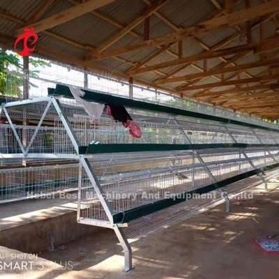 Sistema galvanizado mergulhado quente da gaiola de bateria da camada para a exploração avícola Q235 Emily de aço
