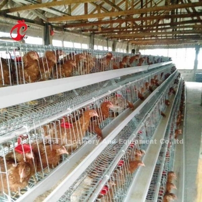 Portas galvanizadas sistema da gaiola 40 da camada do ovo da gaiola do cultivo de aves domésticas em África Adela