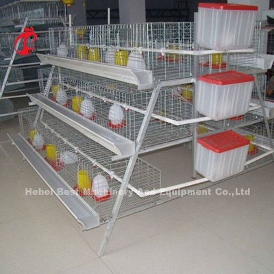 gaiola da galinha da franga de 3 séries para 1 semana Chick Brooder Cage Doris pequeno