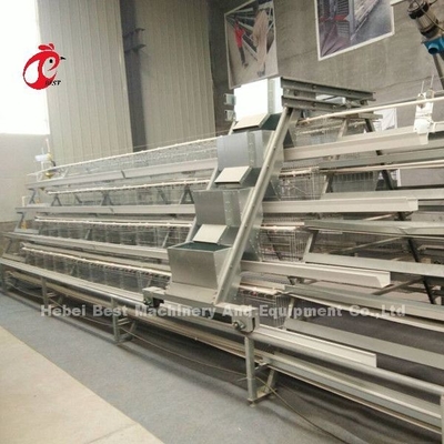 Sistema de alimentação 1.5KW 380V Doris da gaiola semi automática da camada das aves domésticas