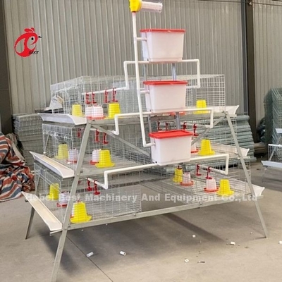 Caixa de bateria galvanizado de alta resistência de aves de capoeira