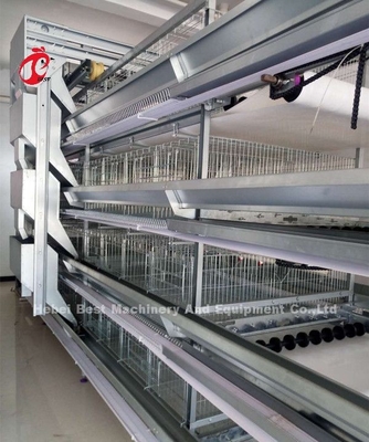Um tipo sistema automático Sandy de H da gaiola da galinha do criador do equipamento das aves domésticas da camada