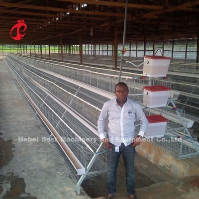 Caixa de bateria de camada profissional instalada na Nigéria Caixa de frango automática Doris
