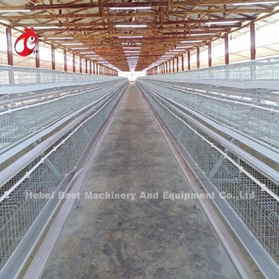 Um tipo galinha dos pássaros da gaiola de bateria 120 das aves domésticas que coloca a gaiola África Doris dos ovos